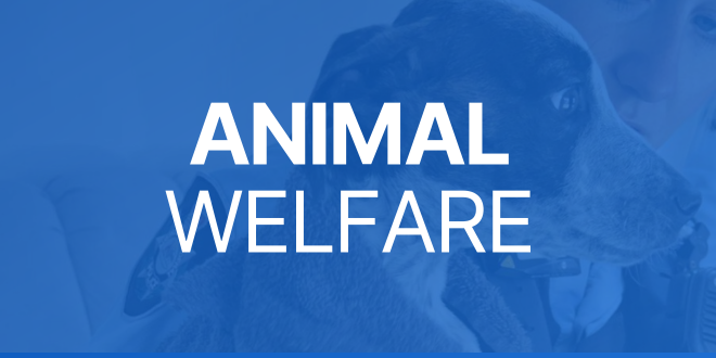 Animal welfare banner