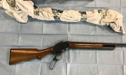 Police seize firearms during Belconnen search warrant 
