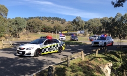 ACT and NSW Vehicles at Kings Highway