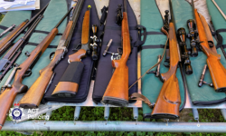 Firearms seized in Gilmore