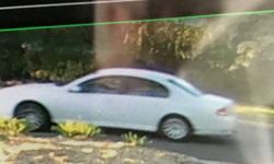 Police would like to speak with the owner of a white coloured Ford Falcon (pictured) which was seen in the area about the time of the incident.