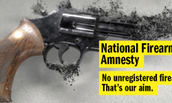 Firearm Amnesty