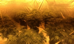 Public information helps police locate Gungahlin grow house.