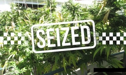 Drugs Seized